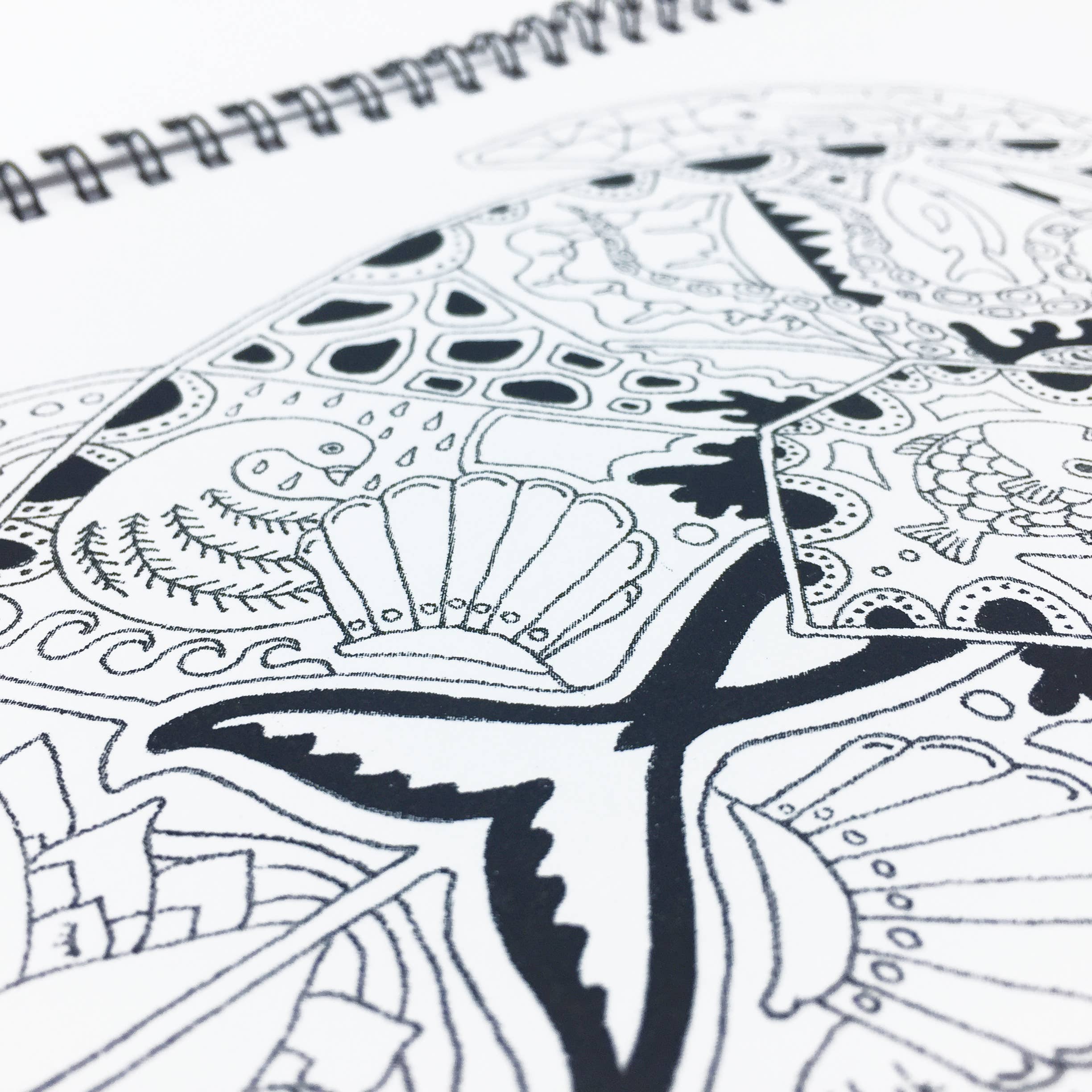 Florida Critters Coloring Book