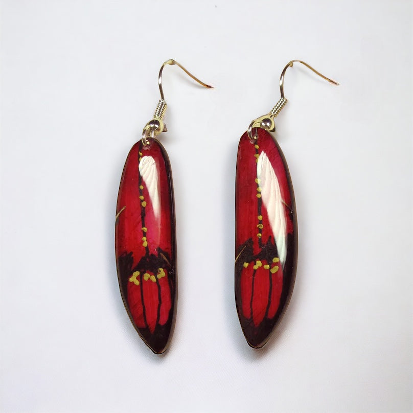 Red Falcon Feather Earrings - Hand Painted Moose Antler Jewelry
