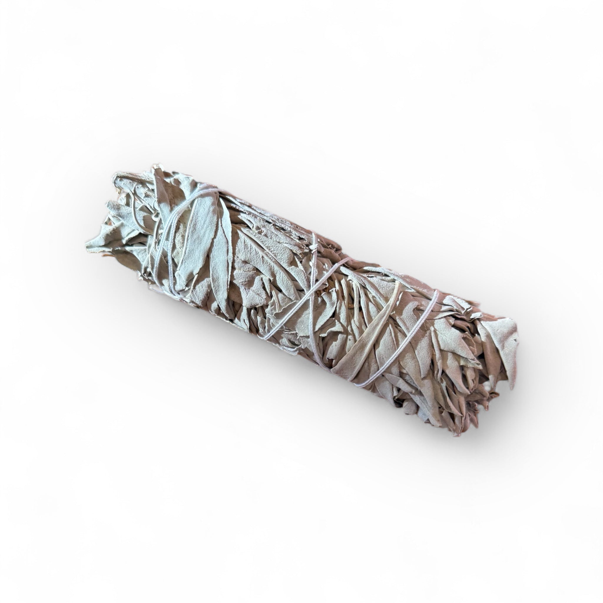 Mini California White Sage 5"