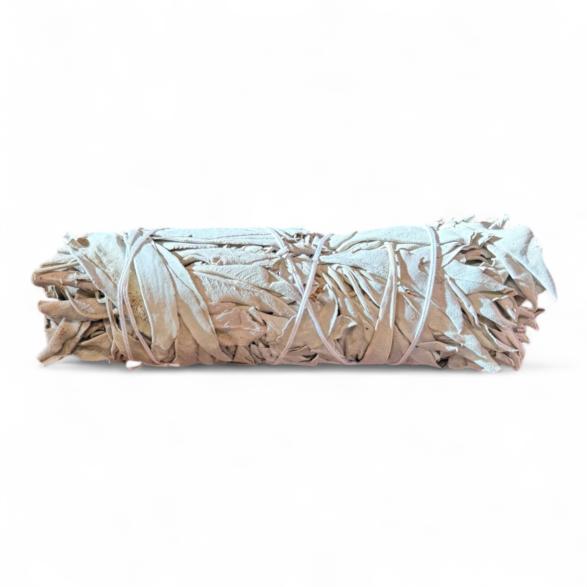 Mini California White Sage 5"