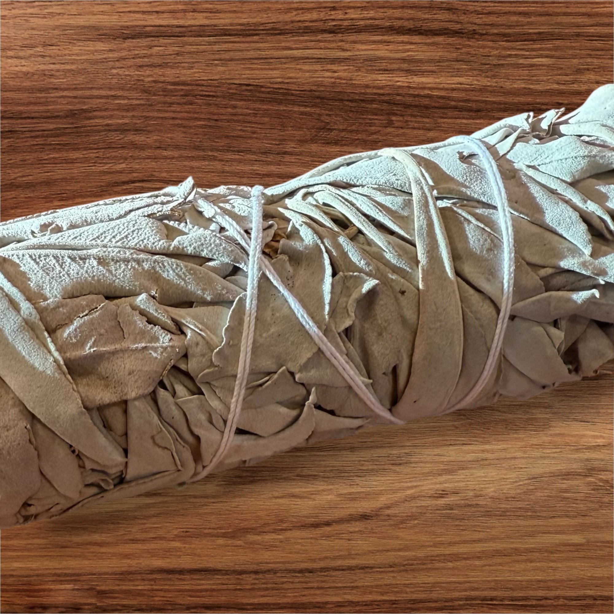 Mini California White Sage 5"