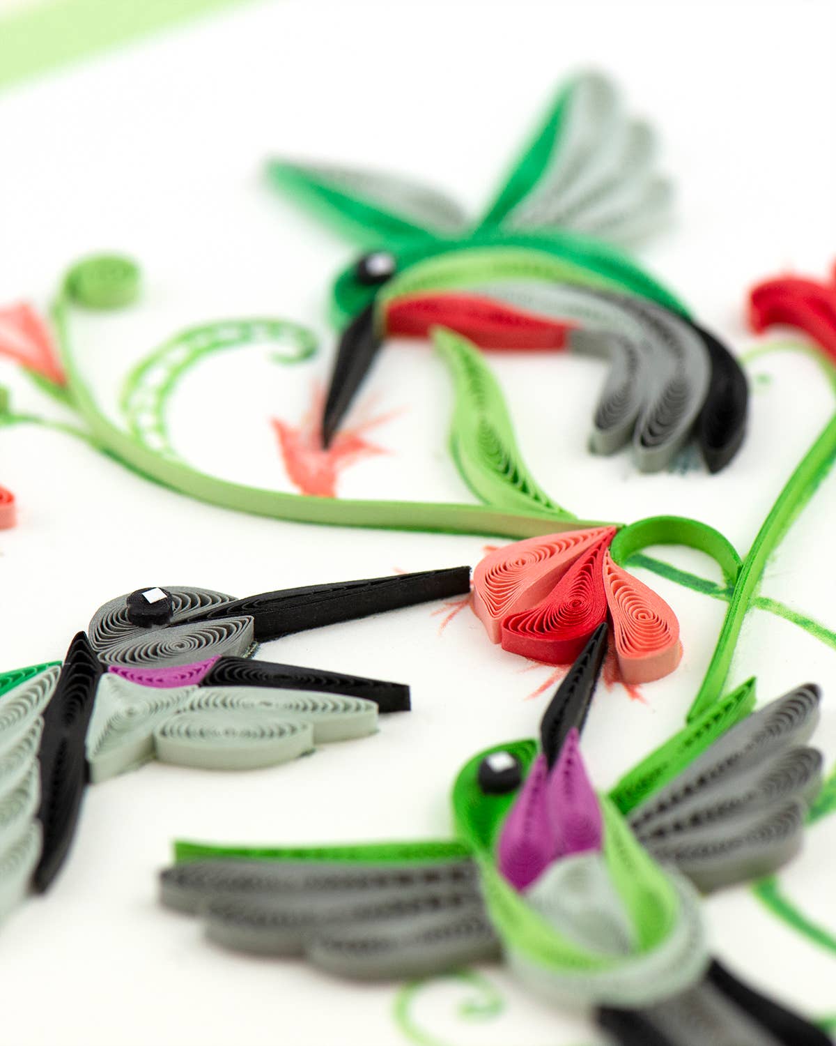Hummingbird Trio Card