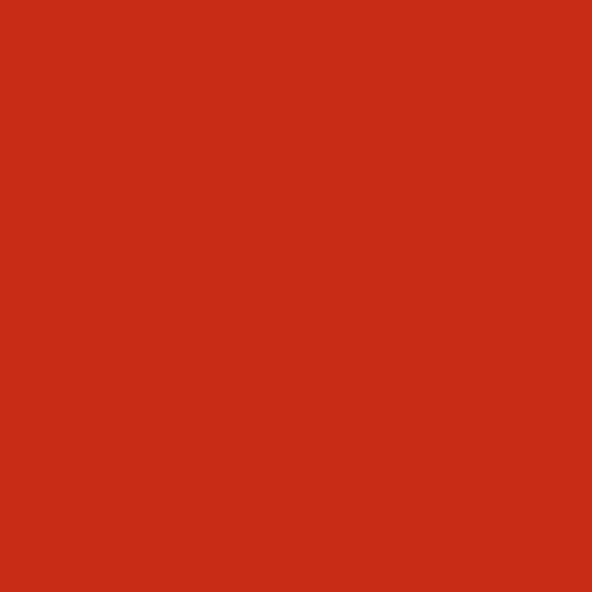 Rayon Satin Scarf Red