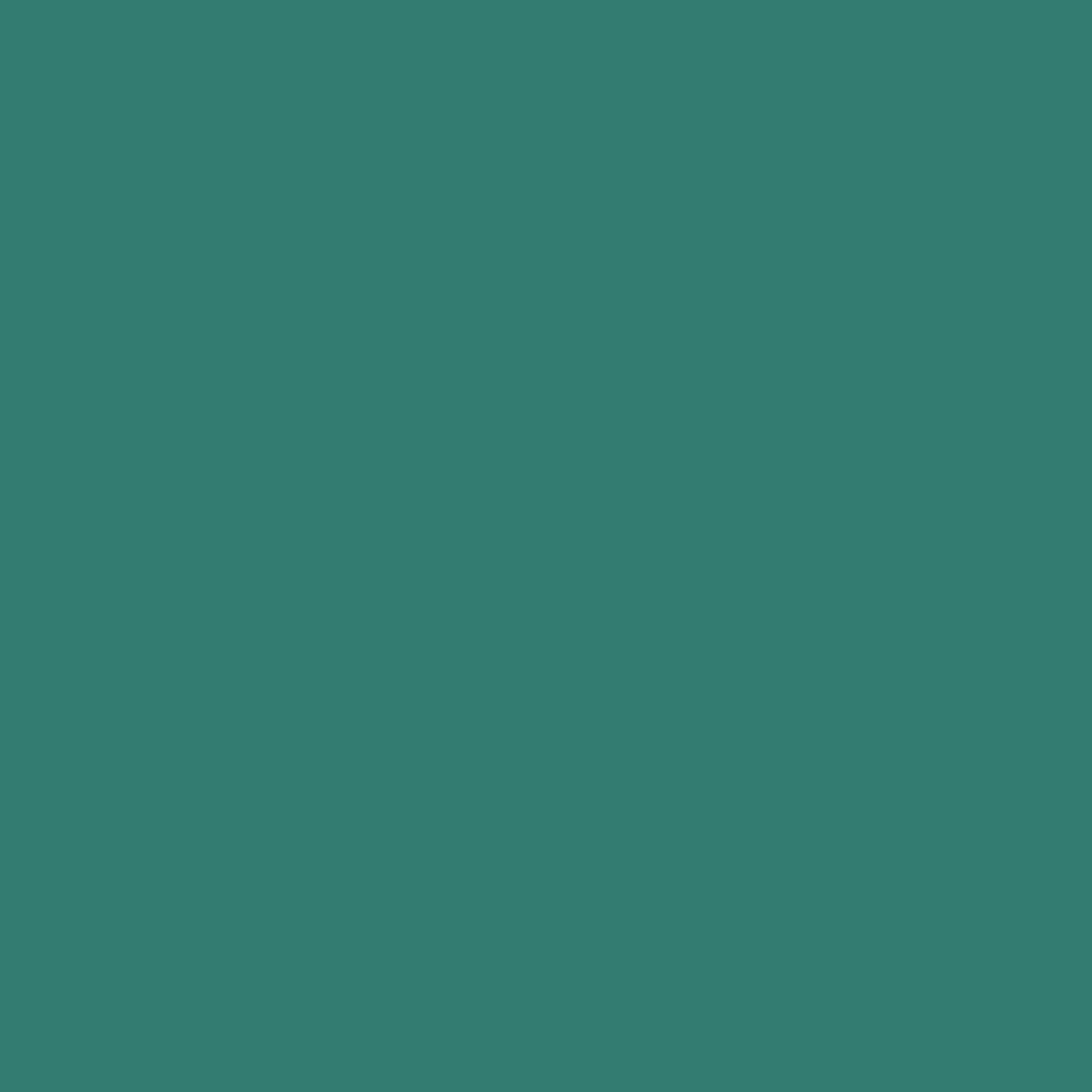 Rayon Satin Scarf Teal