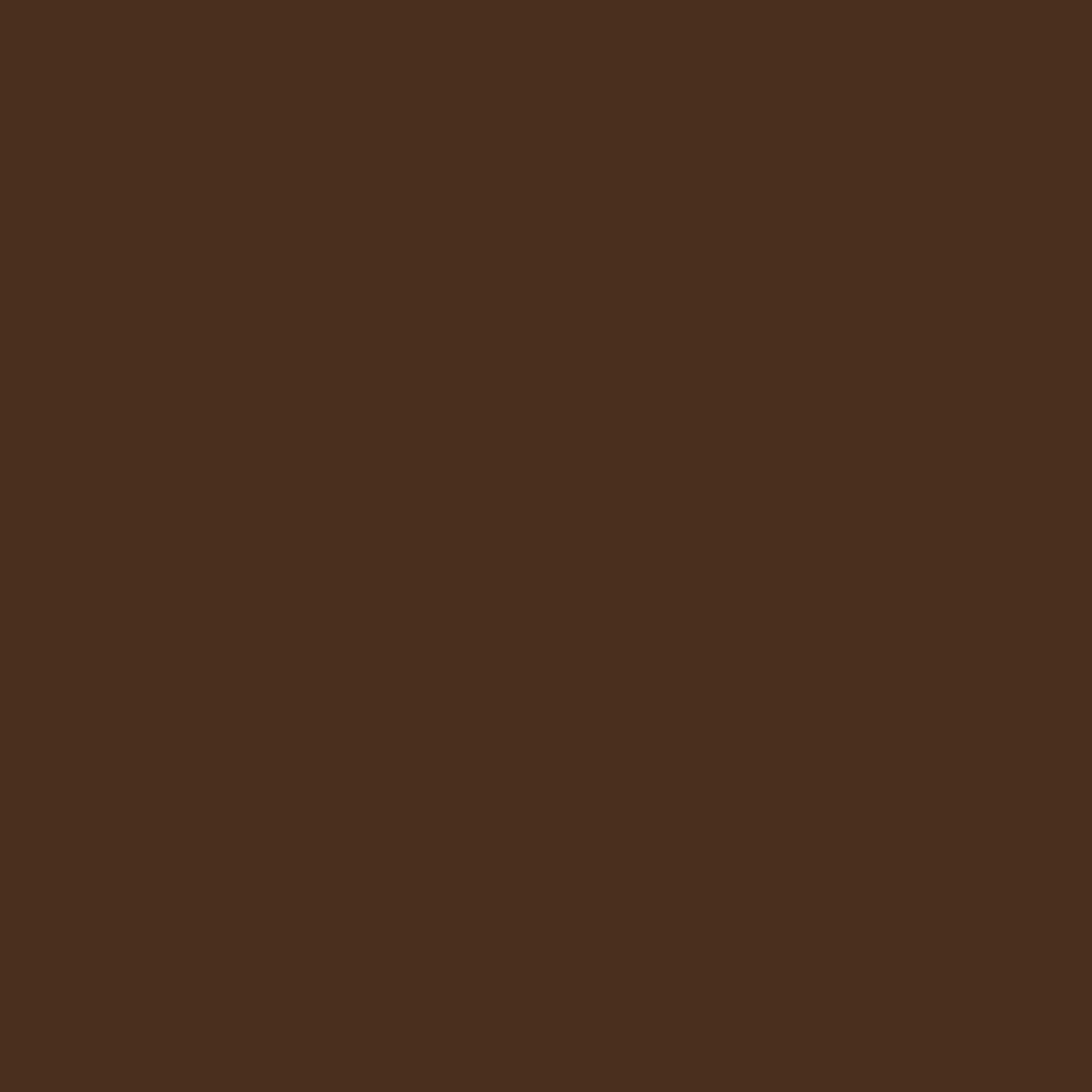 Rayon Satin Scarf Brown