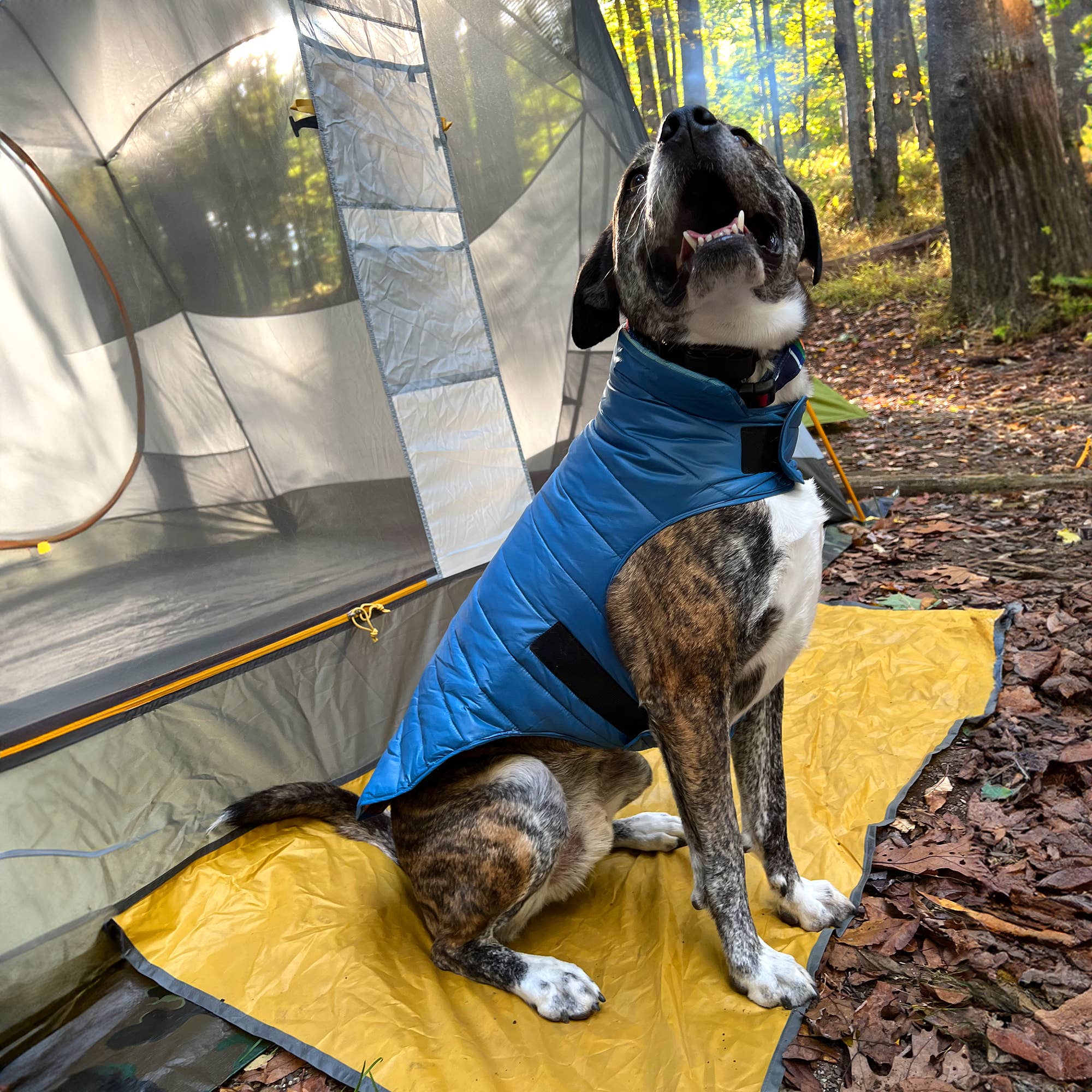 Pendleton Puffer Style Adjustable Dog Coat - Pagosa Springs