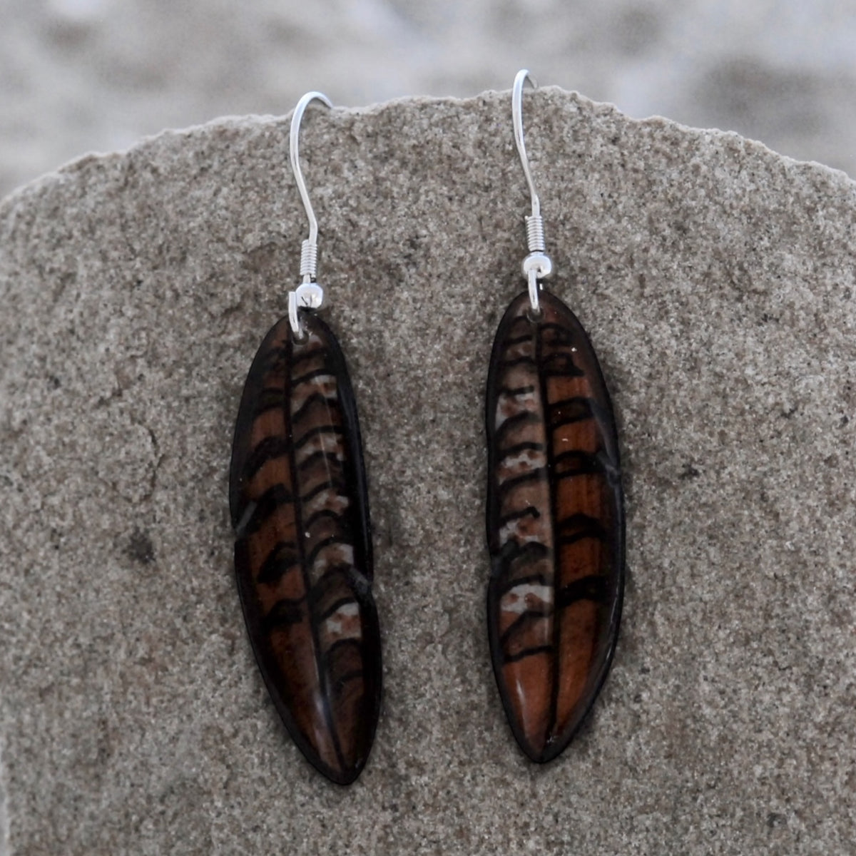 Antler Falcon Feather Earrings - Brown
