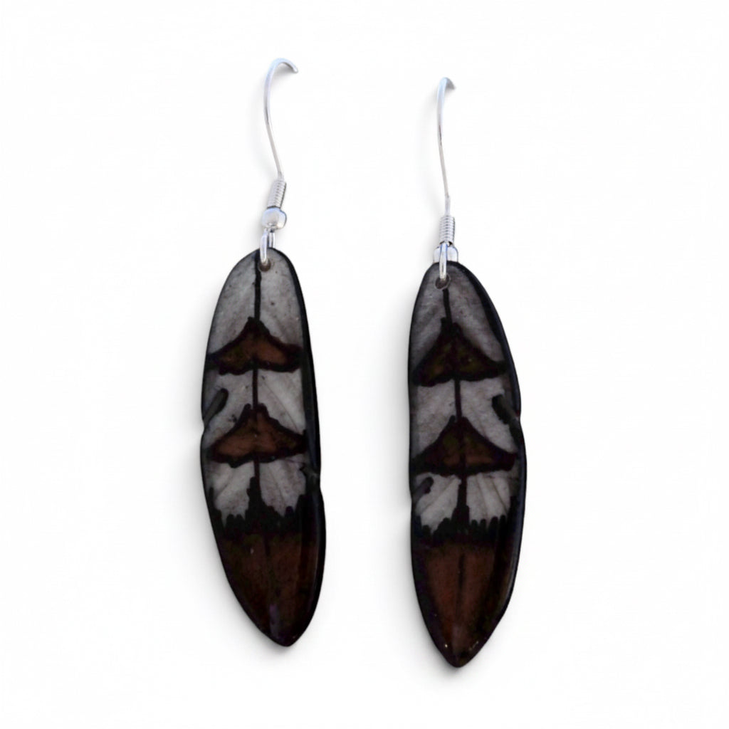 Antler Falcon Feather Earrings - Brown