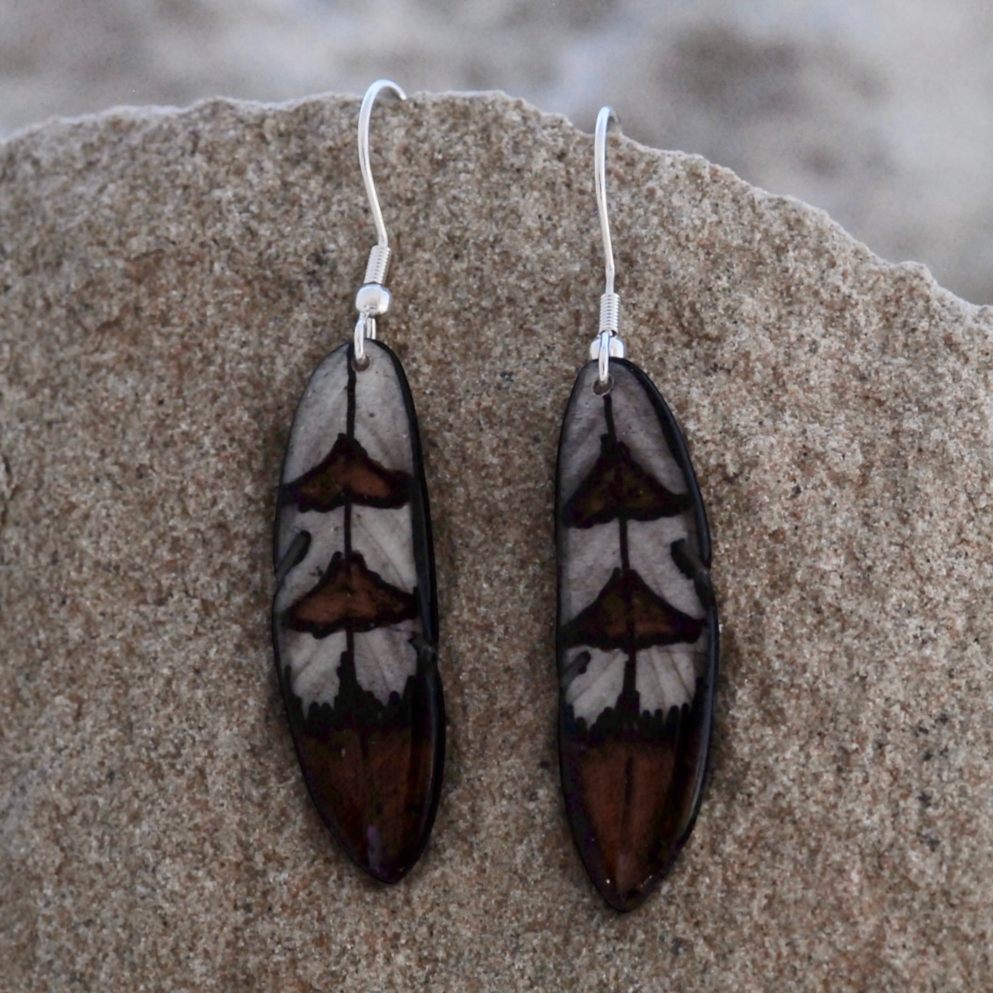 Antler Falcon Feather Earrings - Brown