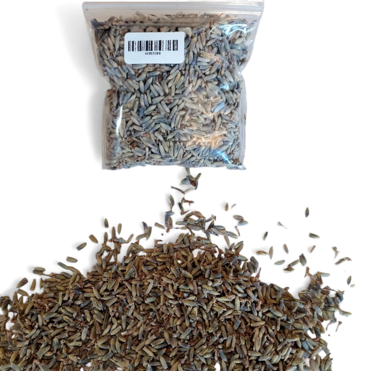 Lavender Flower – Calming + Restorative Herb