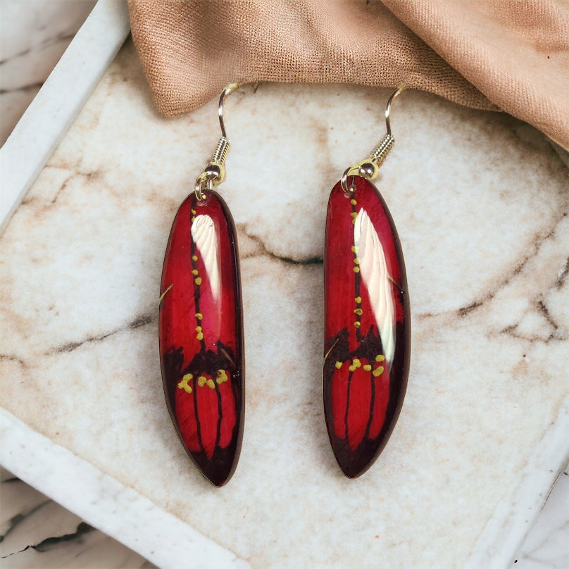 Red Falcon Feather Earrings - Hand Painted Moose Antler Jewelry