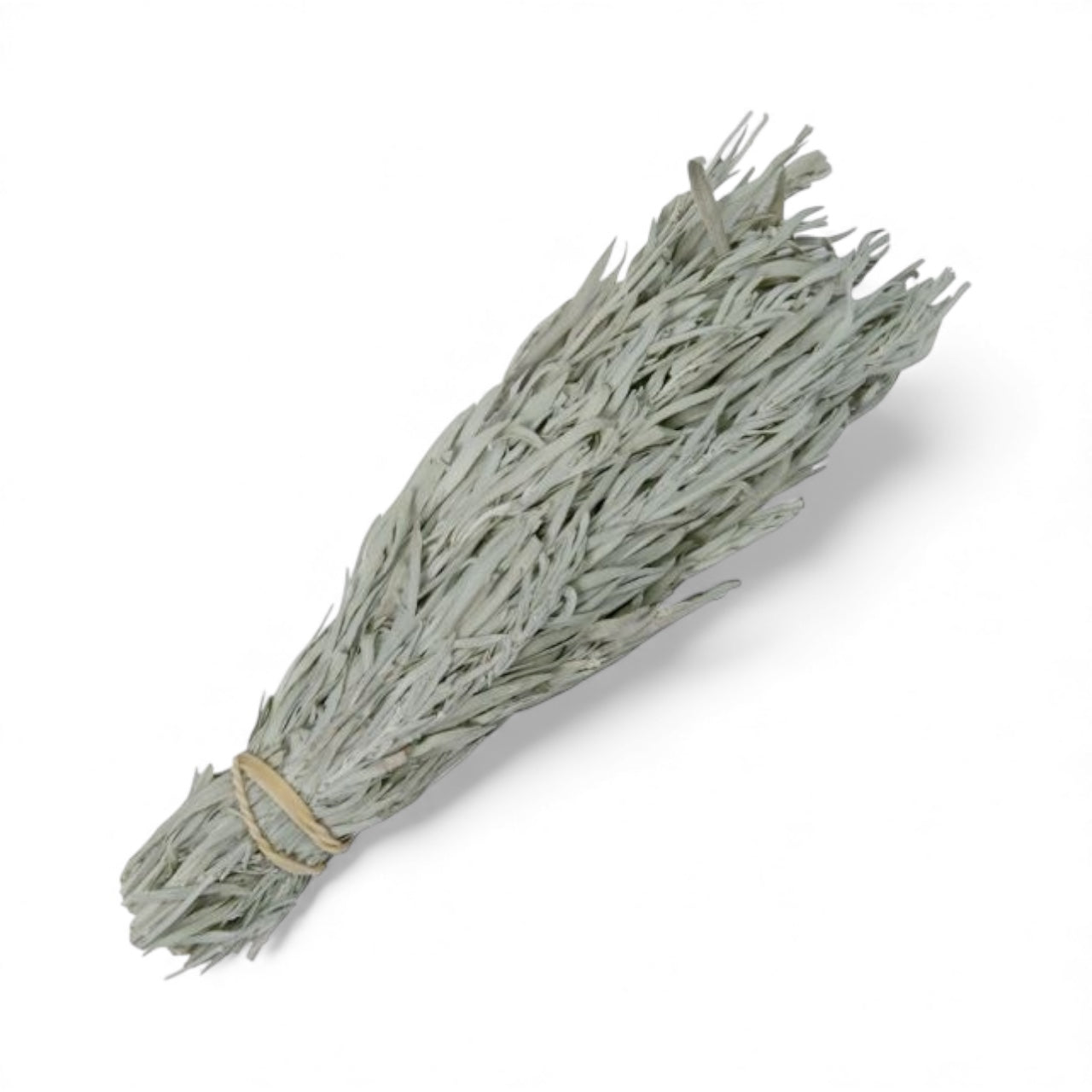 Northern Sage – Smudge Stick – Large
