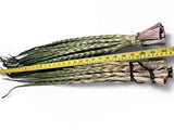 Sweetgrass Braid XL