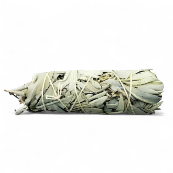 Mini California White Sage 5