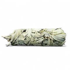 Mini California White Sage 5"