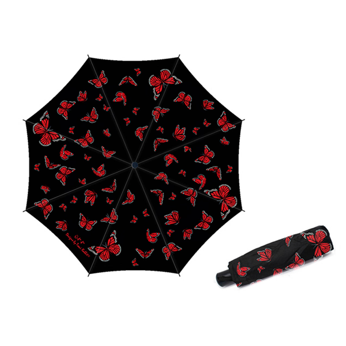My Journey - Umbrella
