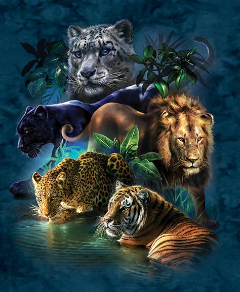 SunsOut - 0451 Big Cat Prowess 1000 pc Puzzle