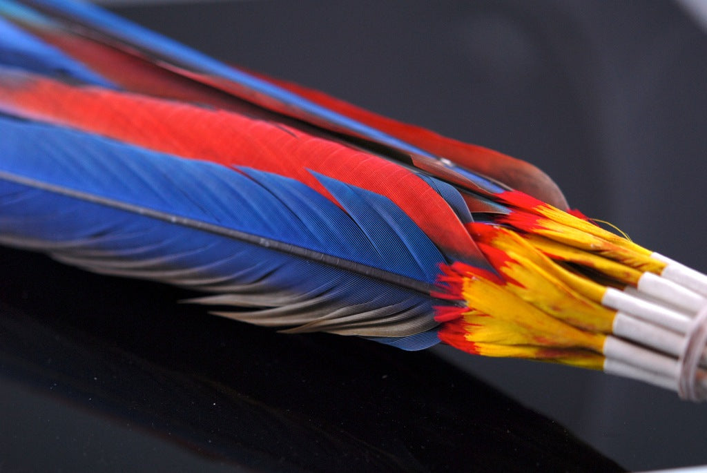Macaw Feather Peyote Fan