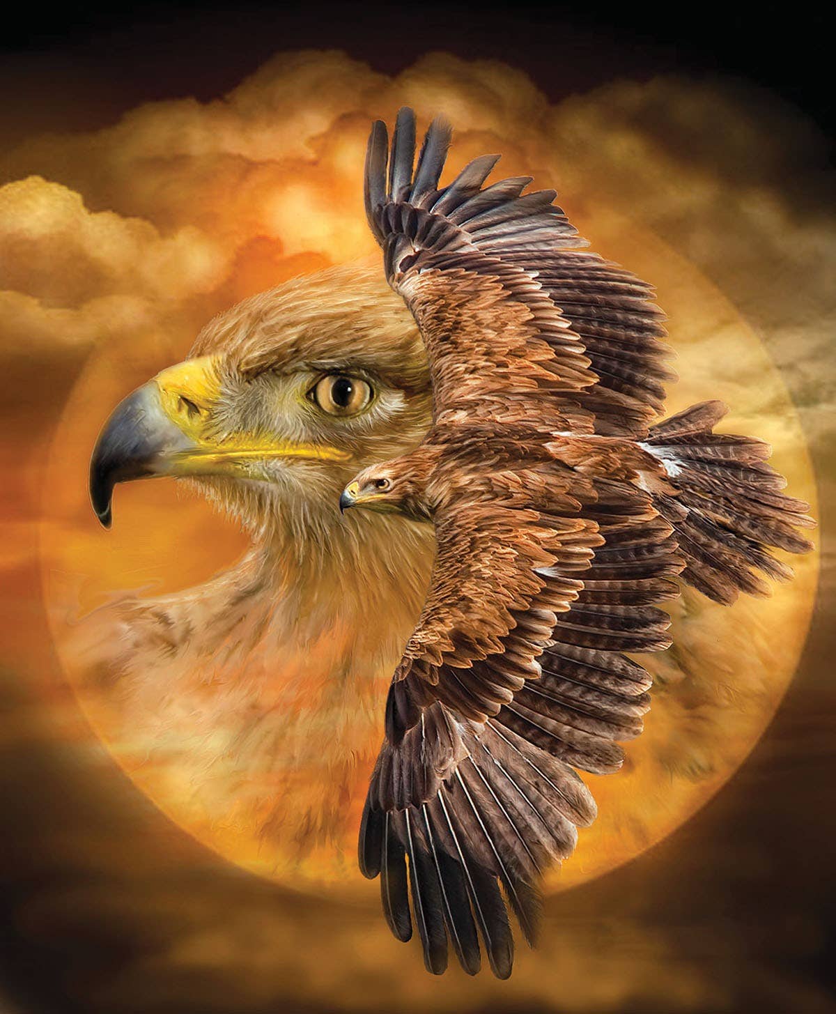 SunsOut - 0111 Spirit of the Wind 1000 pc Puzzle
